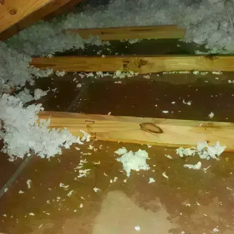 Attic Water Damage in Wagoner County, OK