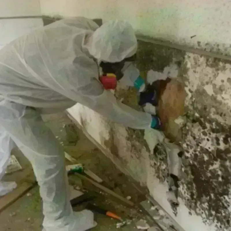 Mold Remediation and Removal in Wagoner County, OK