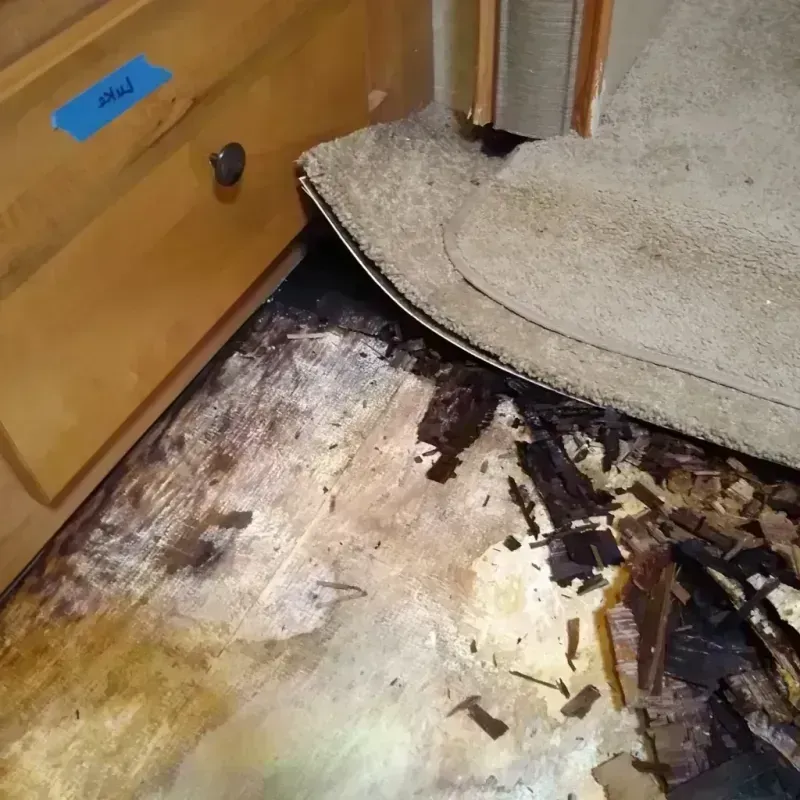 Wood Floor Water Damage in Wagoner County, OK